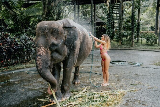 Bali Sunrise Without Hiking: Temples, Rice Terraces & Waterfall - FAQs