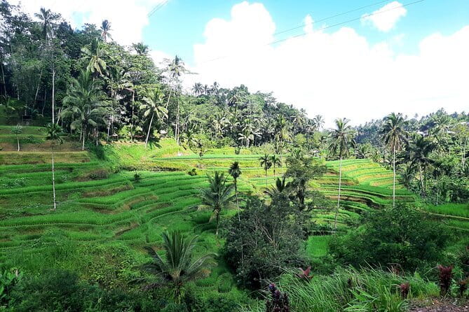 BALI INSTAGRAM TOURS; Heaven Gate, Tirta Gangga, Tukad Cepung waterfall - FAQ
