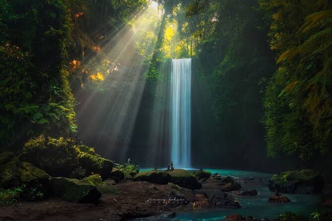 Private Day Tour To Waterfalls And Ubud Sightseeing - What Makes This Tour Stand Out
