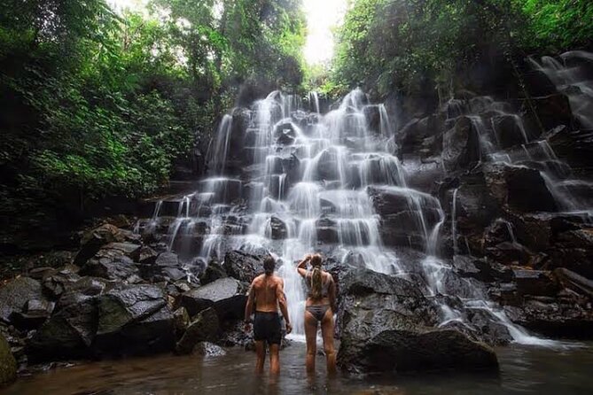 Private Day Tour To Waterfalls And Ubud Sightseeing - An In-Depth Look at the Ubud Waterfalls and Cultural Tour