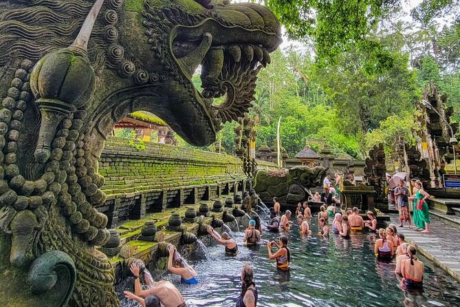 Ubud Car Hire With Driver : Customize Your Trip in Ubud Area - Why Choose a Private Car Hire in Ubud?