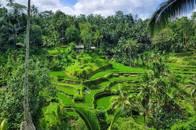 Ubud Car Hire With Driver : Customize Your Trip in Ubud Area - The Flexibility of a Customizable Ubud Tour