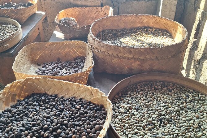 Ubud Car Hire With Driver : Customize Your Trip in Ubud Area - The Experience of Visiting Ubud Waterfalls and Rice Terraces