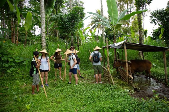 Experience Authentic Balinese Village Life on a Day Trip - Ubud - Harvesting Garden Veggies: Fresh and Tasty