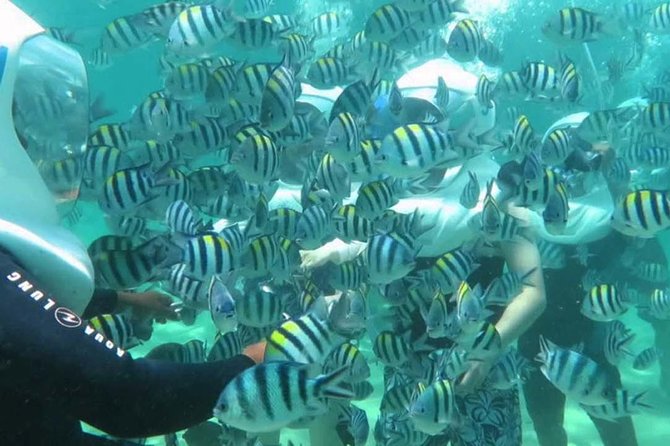 Bali Best Watersport Sea walker,Parasailing adventure,Jet sky - The Practical Side of the Tour