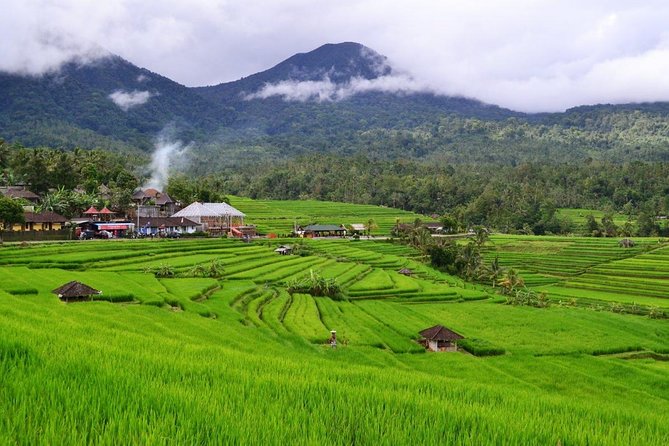 Beauty Of West Bali Tour (Private and All Inclusive) - A Deep Dive into the West Bali Experience
