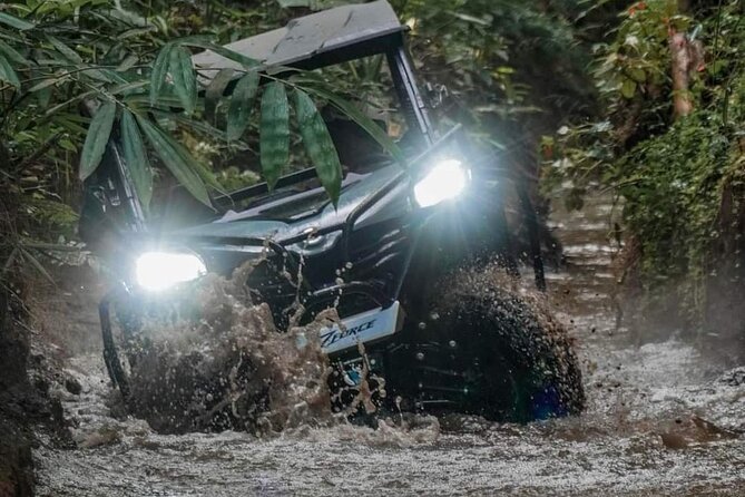 Bali UTV-BUGGY Wild Drive With Lunch at Cretya Sunset - Authentic Reviews & What They Reveal