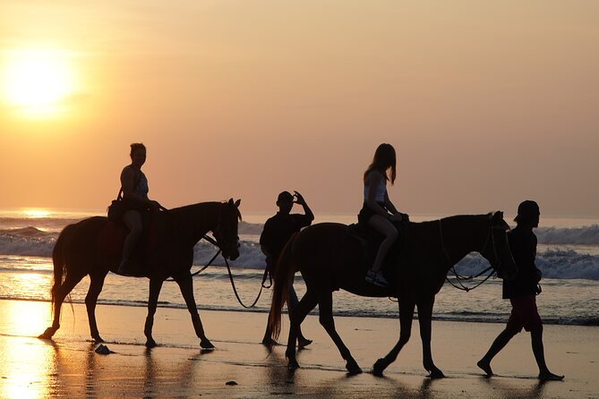 Bali Sunrise Horse Riding and Tour - Key Points