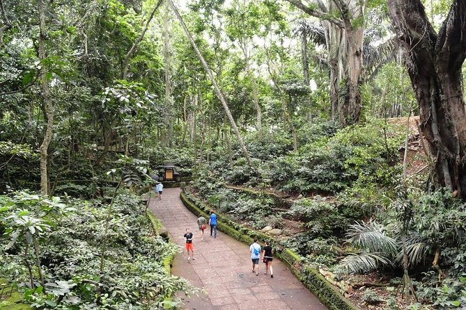 Private Ubud Day Tour - Key Points