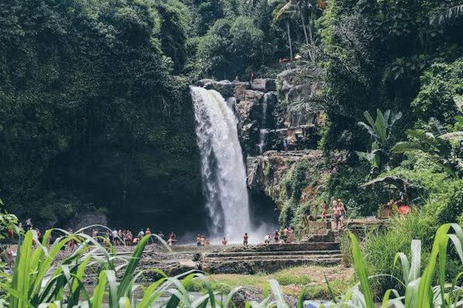 Private Ubud Day Tour - FAQs