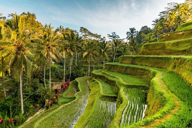 Private Ubud Day Tour - The Sum Up