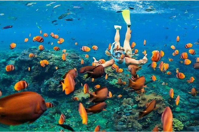 Nusa Penida Trip with Snorkeling all-Inclusive - Good To Know