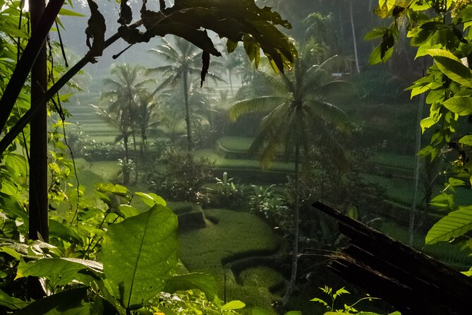 Ubud Day Tour - Top Things to do in Ubud + Local Ubud Guide - FAQ