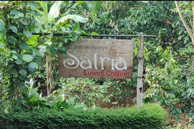 Bali Ubud private Tour with Ubud Bali Driver - FREE WIFI - Who Will Love This Tour?