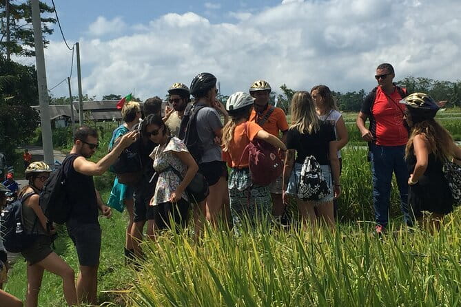 HALO BIKE Downhill Bali Countryside Cycling Tour - Final Thoughts