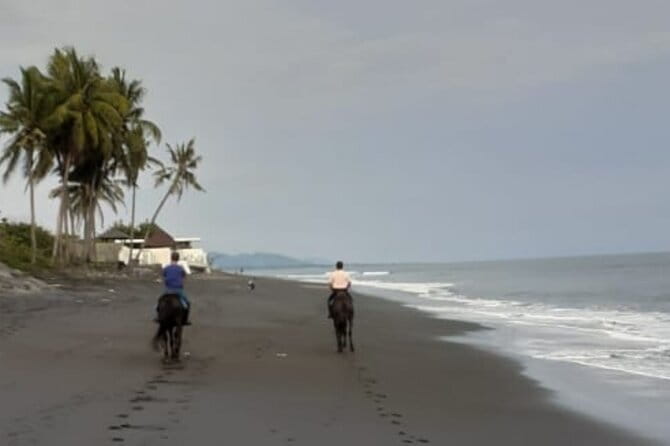 From Ubud 1 Hour Horse Riding at The Beach Experiences - The Sum Up: Is This Tour Worth It?