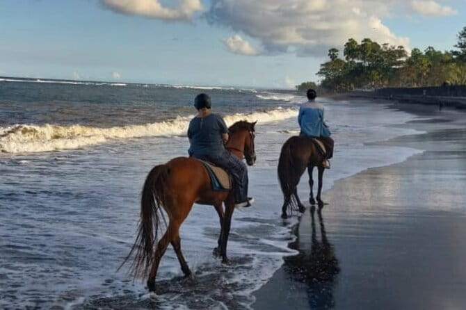 From Ubud 1 Hour Horse Riding at The Beach Experiences - FAQ