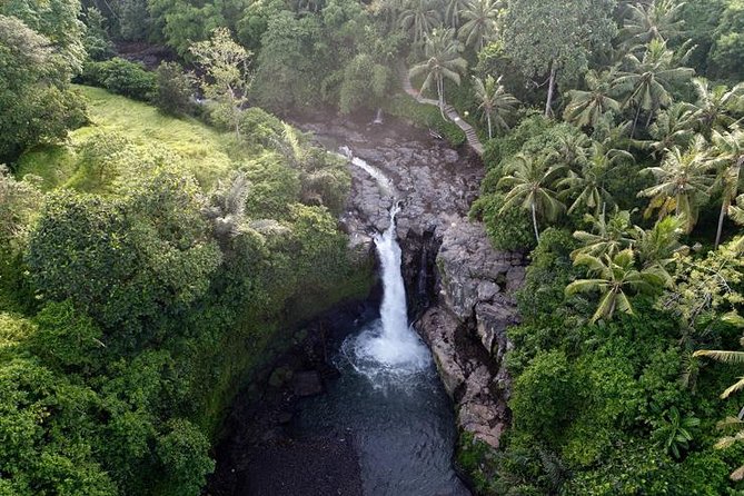 Ubud Nature Waterfall Tour - Who Should Book This Tour?