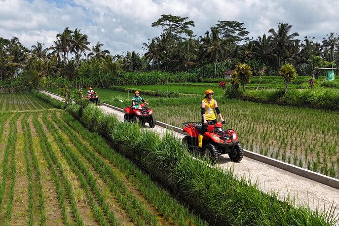 Ubud Gorilla ATV Quad Bike Adventure with Meal - Authentic Experiences and Real Reviews