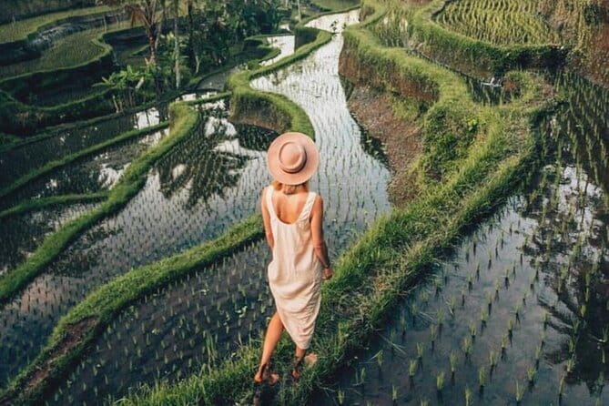 Ubud Highlights Shared Tour  Small Group Full-Day Experience - Starting Point and First Impressions