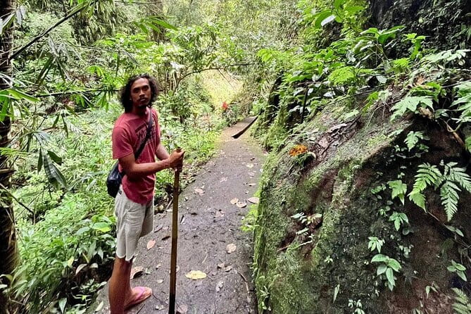 Ubud Highlights Shared Tour  Small Group Full-Day Experience - Tegalalang Rice Terrace: A Photo-Perfect Introduction