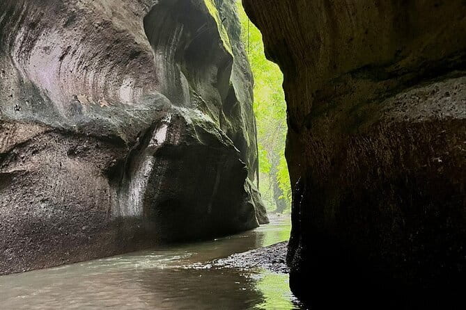 Ubud Highlights Shared Tour  Small Group Full-Day Experience - What’s Included and What’s Not