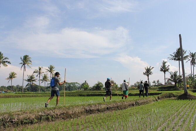 Rural Charm of Bali Tour - Key Points