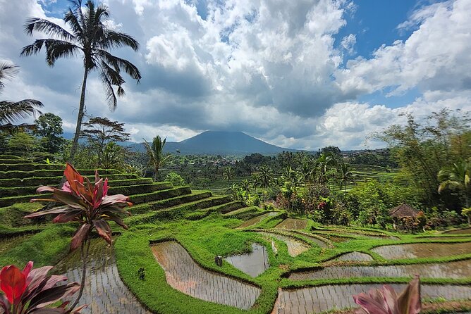 Bali 4WD Adventure WakaLand UNESCO Jatiluwih Trip in Bali Outback - Insights from Reviews