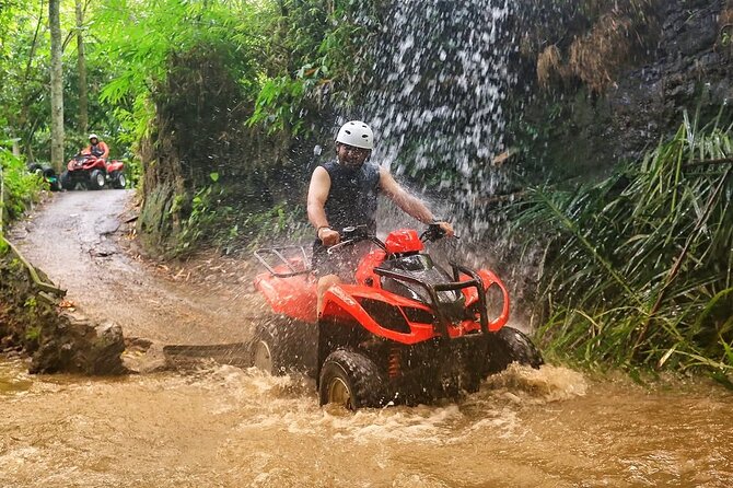 ATV Quad Adventure through Ubud's Nature with Lunch - Who Might Want to Consider Alternatives?