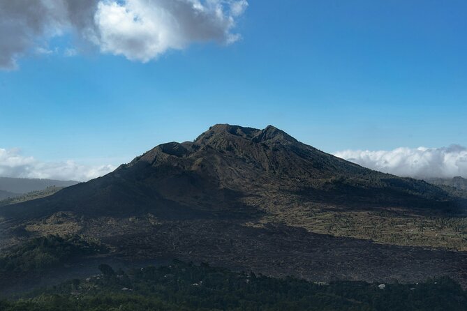 Full Day All-Inclusive Kintamani and Penglipuran Tour - FAQ