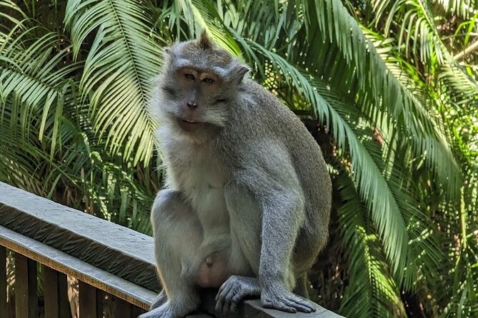 Bali ATV Ride Adventure and Ubud Village Tour - All Inclusive - Detailed Breakdown of the Experience