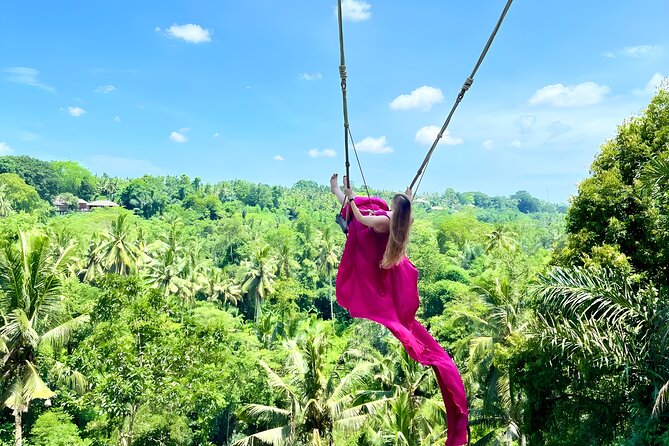 Bali Taman Grya Beji Waterfall and Jungle Swing Private Tour - Bali Taman Grya Beji Waterfall and Jungle Swing Private Tour Review