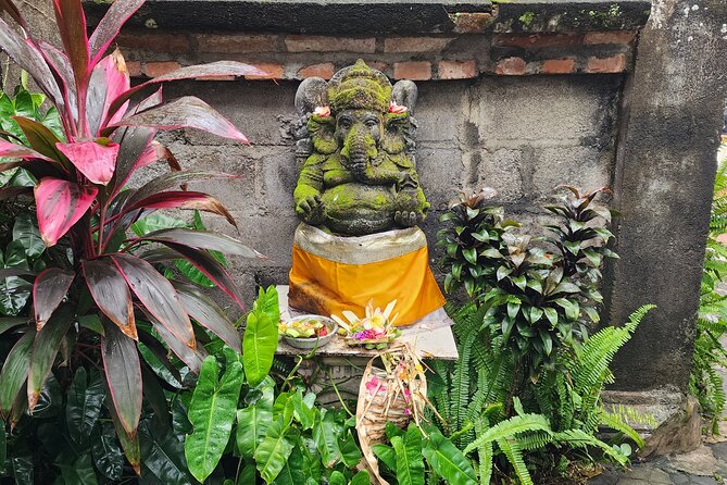 Bali Balinese Divine Healing and Traditional nerve Therapy - Who Should Consider This Tour?