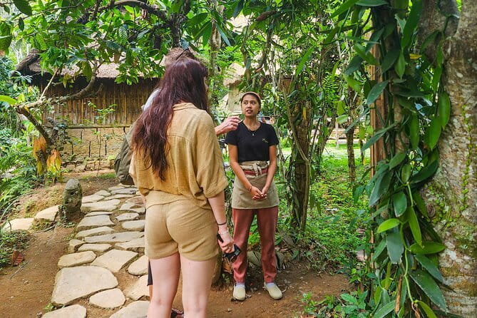 Meet the Masters of Balinese Art in Their Own House - Exploring Bali’s Artistic Villages: A Hands-On Guide