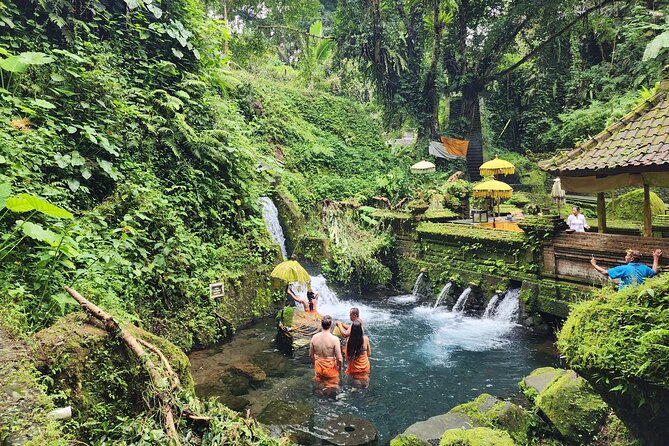 Ubud Private Guided Tour to Mengening Temple and Hidden waterfall - The Sum Up