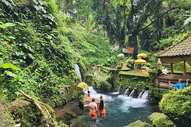 Healing and Adventure Trip in Ubud All Inclusive Journey - Introduction: A Holistic Day in Ubud
