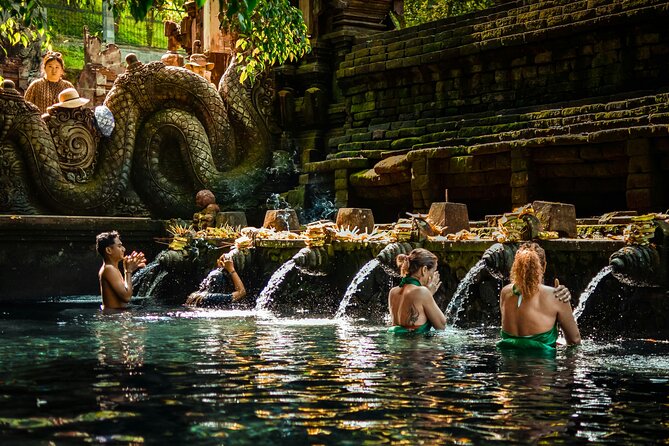 Experience Ubud Highlights Private Tour - A Closer Look at the Ubud Highlights Private Tour