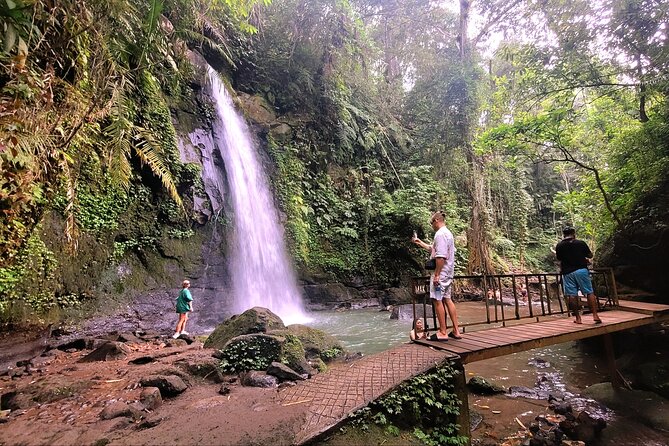 Half Day Tour Ubud Rice Terrace with Activities and Waterfall - Final Thoughts