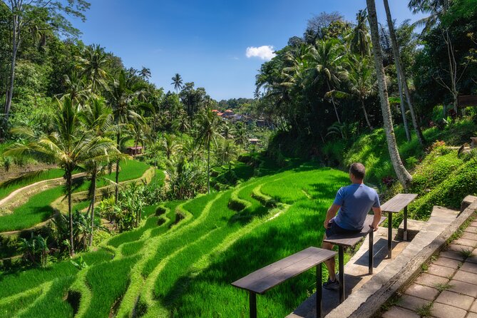 Ubud Private Custom Day Tour - Exploring Bali’s Iconic Highlights