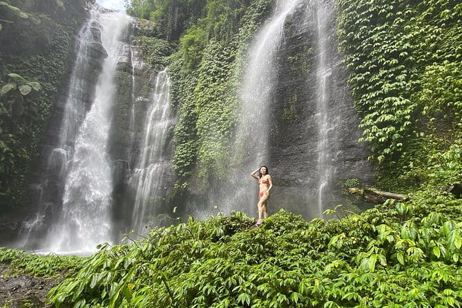 Experience Private Bali Northern Trip at North Waterfall - Exploring the Itinerary: What’s Included and Why It Matters