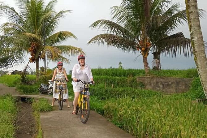 Ubud : Kintamani Downhill Cycling Tour with Lunch - A Closer Look at the Kintamani Downhill Cycling Tour