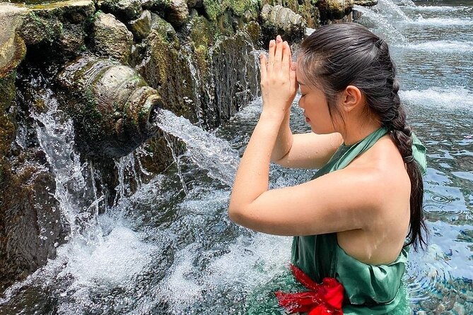 Ubud Waterfalls, Water Temple and Rice Terrace - Private Tour - What’s Included and What’s Not