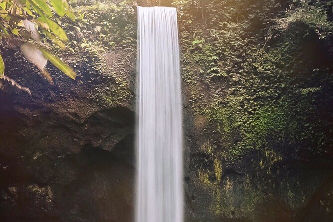 Ubud Waterfalls, Water Temple and Rice Terrace - Private Tour - Who Is This Tour Best Suited For?