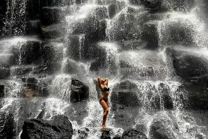 Ubud Waterfalls, Water Temple and Rice Terrace - Private Tour - Final Thoughts