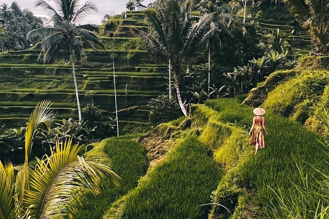 Ubud Waterfalls, Water Temple and Rice Terrace - Private Tour - Authentic Experiences and Insights from Travelers