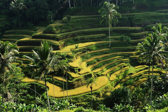 All-Inclusive Ubud's Wonder Day Tour - Authenticity and Authentic Experiences