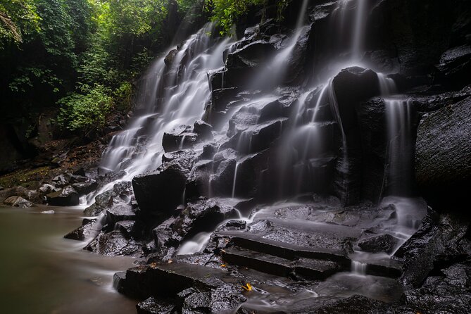All-Inclusive Ubud's Wonder Day Tour - Who Will Love This Tour?