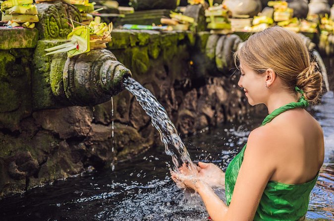 All-Inclusive Ubud's Wonder Day Tour - Final Thoughts: Who Should Book?