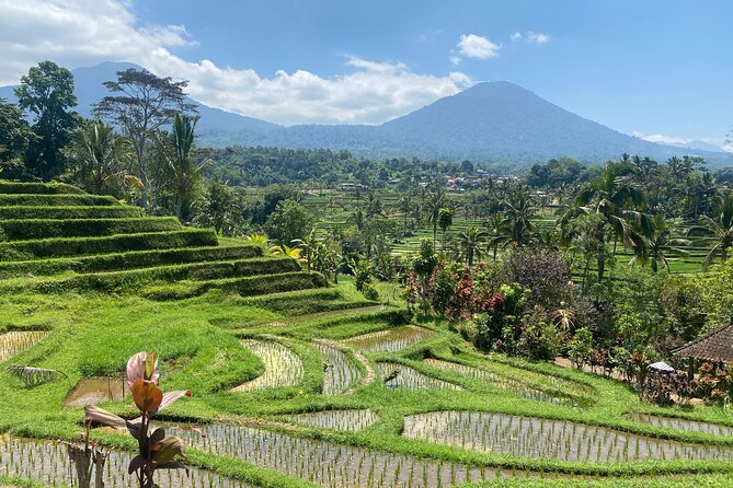 Full Day Bali Scooter Tour - FAQs