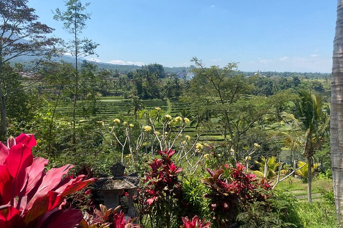 Full Day Bali Scooter Tour - Key Points